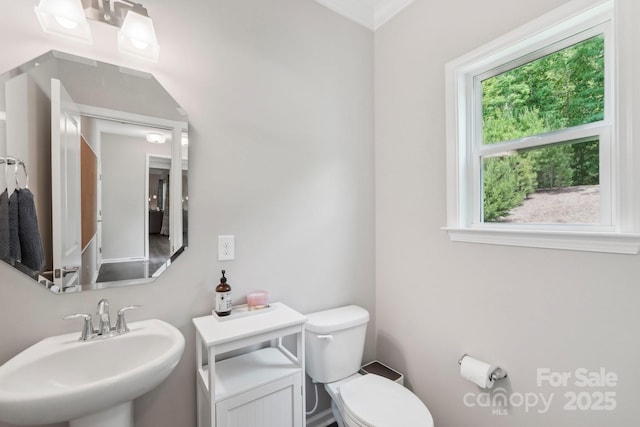 3218 Gilroy Dr, Fort Mill, SC 29707 - half bathroom with a sink, toilet, and crown molding