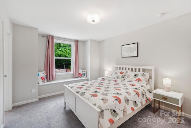 3218 Gilroy Dr, Fort Mill, SC 29707 - carpeted bedroom with baseboards