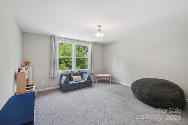3218 Gilroy Dr, Fort Mill, SC 29707 - sitting room with carpet and baseboards