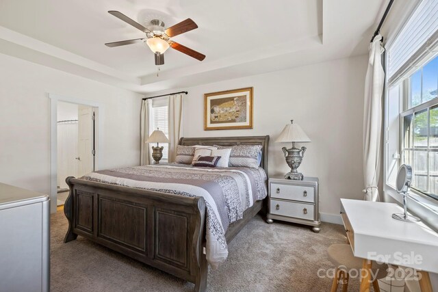 19 Wetland Way, Arden, NC 28704 - bedroom with light colored carpet, a raised ceiling, and a ceiling fan