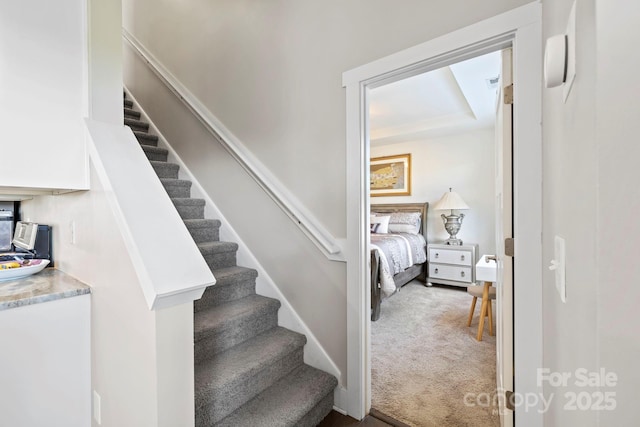 19 Wetland Way, Arden, NC 28704 - staircase featuring carpet flooring