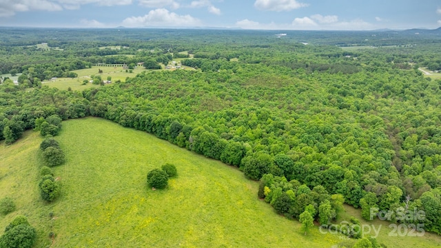 bird's eye view of a forest