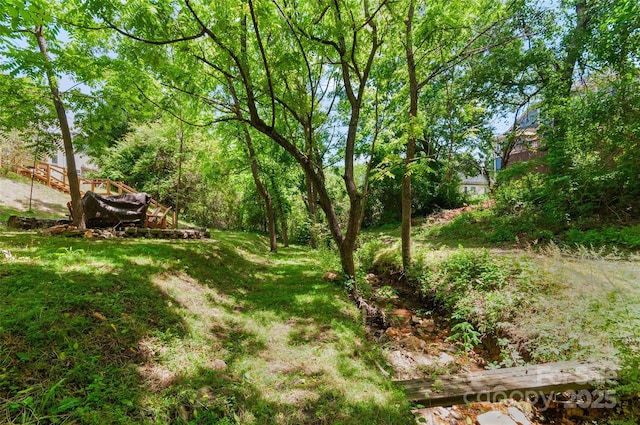 8 Secrest Dr, Arden, NC 28704 - view of yard