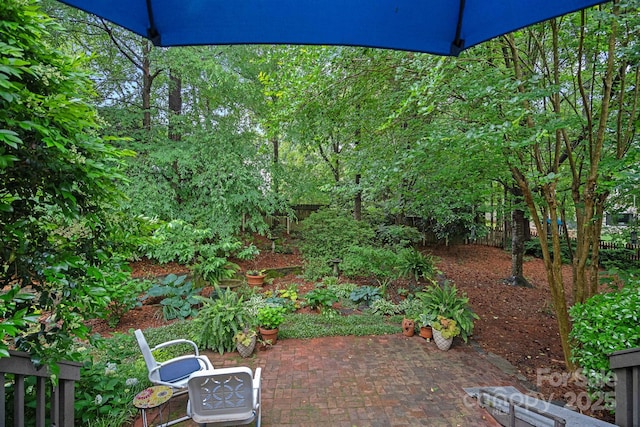 3524 Rhett Butler Pl, Charlotte, NC 28270 - photo 29