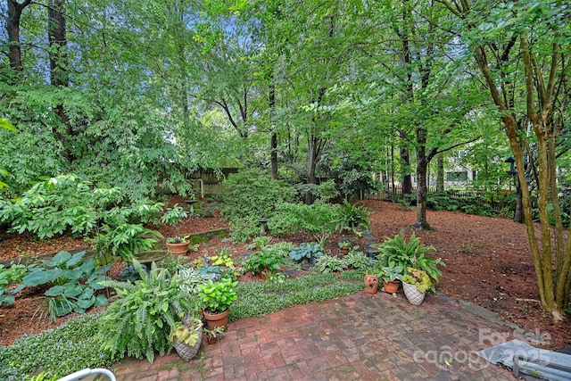 3524 Rhett Butler Pl, Charlotte, NC 28270 - photo 30