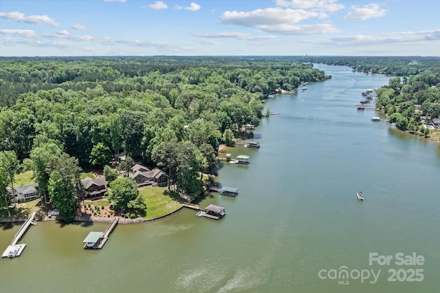 230 Shady Cove Rd, Troutman, NC 28166 - aerial view of a heavily wooded area and a large body of water