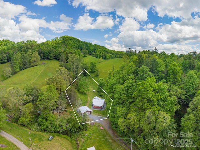 280 Noland Dr, Clyde, NC 28721 - aerial overview of property's location featuring property parcel outlined and a heavily wooded area