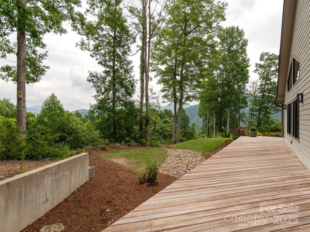 645 Silverglen Way, Hendersonville, NC 28792 - photo 34