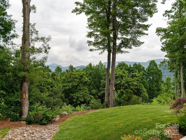 645 Silverglen Way, Hendersonville, NC 28792 - photo 35