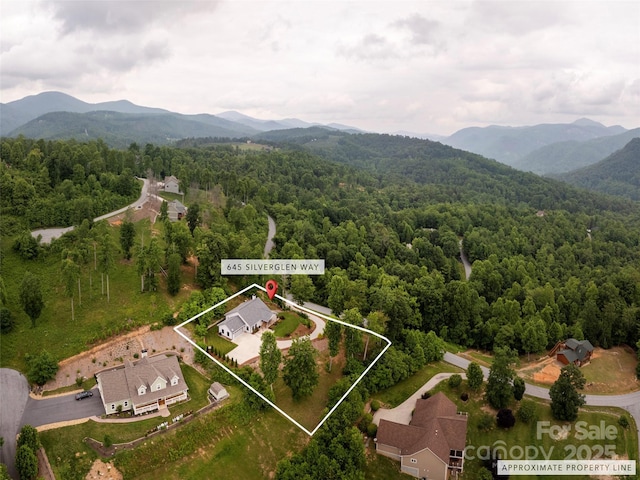 645 Silverglen Way, Hendersonville, NC 28792 - photo 37
