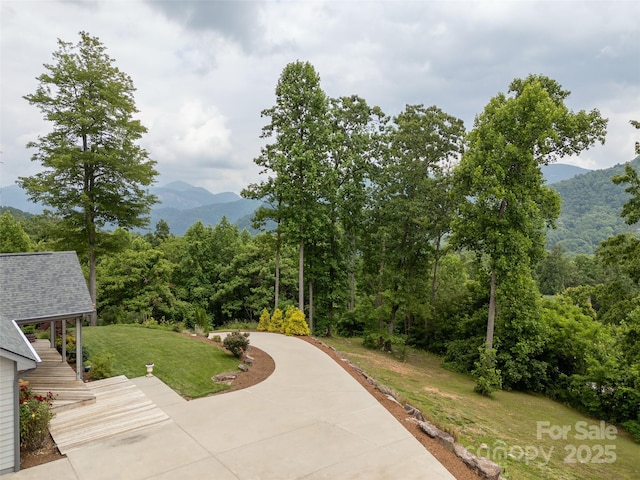 645 Silverglen Way, Hendersonville, NC 28792 - photo 19
