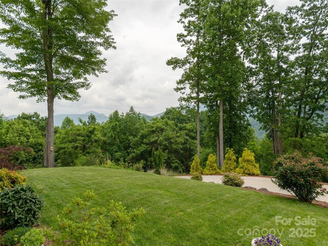 645 Silverglen Way, Hendersonville, NC 28792 - photo 22