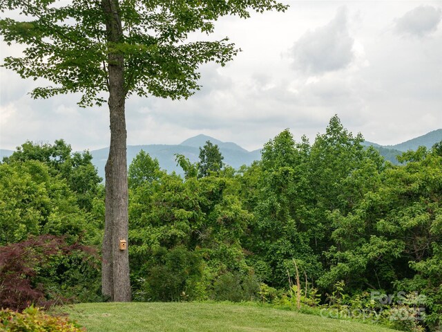 645 Silverglen Way, Hendersonville, NC 28792 - photo 23