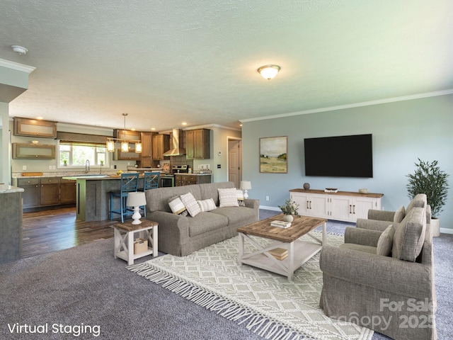 11 Bartlett Ave, Black Mountain, NC 28711 - living area with crown molding, carpet, wood finished floors, recessed lighting, and a textured ceiling
