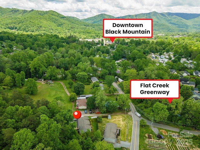 11 Bartlett Ave, Black Mountain, NC 28711 - photo 4