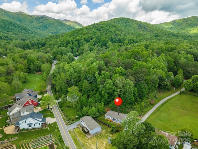 11 Bartlett Ave, Black Mountain, NC 28711 - photo 6