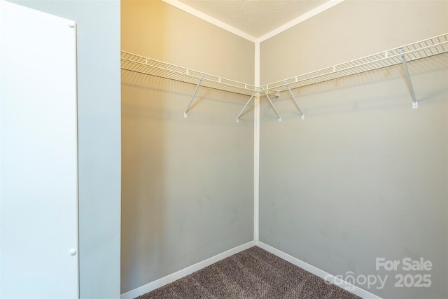 11 Bartlett Ave, Black Mountain, NC 28711 - photo 23