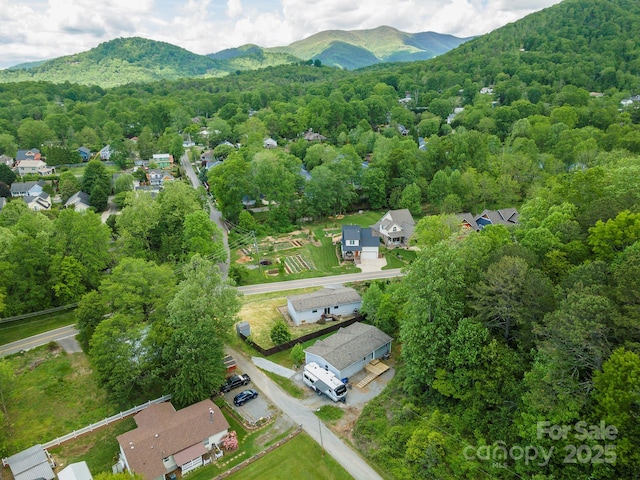 11 Bartlett Ave, Black Mountain, NC 28711 - photo 38