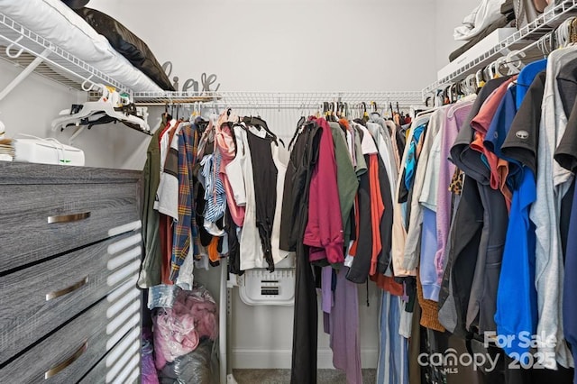 242 Delview Dr, Cherryville, NC 28021 - view of spacious closet