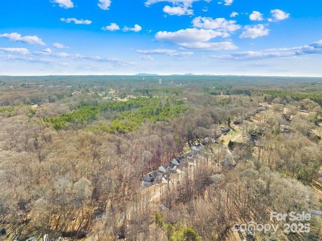 242 Delview Dr, Cherryville, NC 28021 - aerial view of property and surrounding area featuring a heavily wooded area