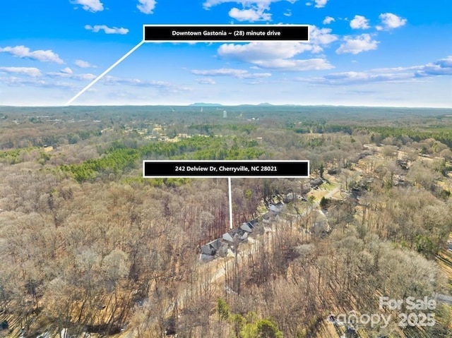 242 Delview Dr, Cherryville, NC 28021 - drone / aerial view of a forest