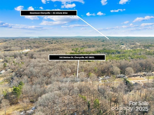 242 Delview Dr, Cherryville, NC 28021 - bird's eye view of a heavily wooded area