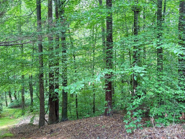 627 Saint Andrews Rd, Statesville, NC 28625 - photo 4