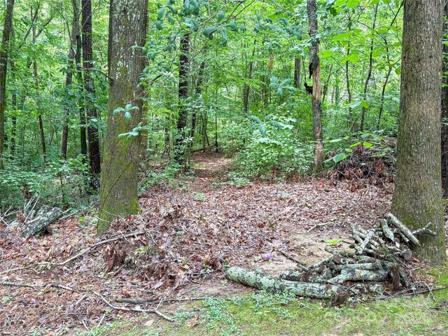 627 Saint Andrews Rd, Statesville, NC 28625 - photo 5
