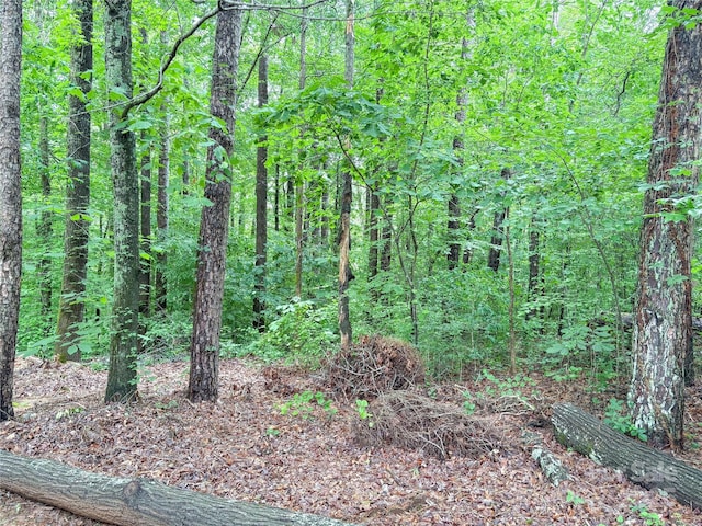 627 Saint Andrews Rd, Statesville, NC 28625 - photo 9