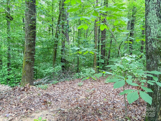 627 Saint Andrews Rd, Statesville, NC 28625 - photo 10