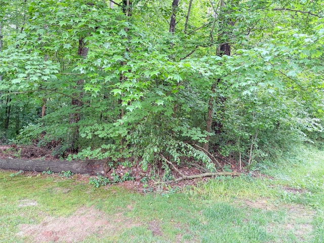 627 Saint Andrews Rd, Statesville, NC 28625 - photo 11