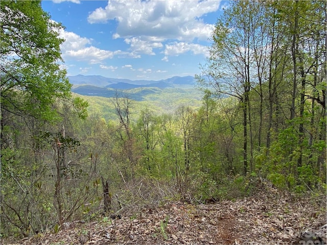 1029 Kestrel Ln Unit T-72, Black Mountain, NC 28711
