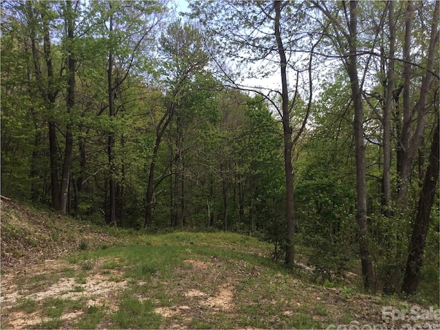 1029 Kestrel Ln Unit T-72, Black Mountain, NC 28711