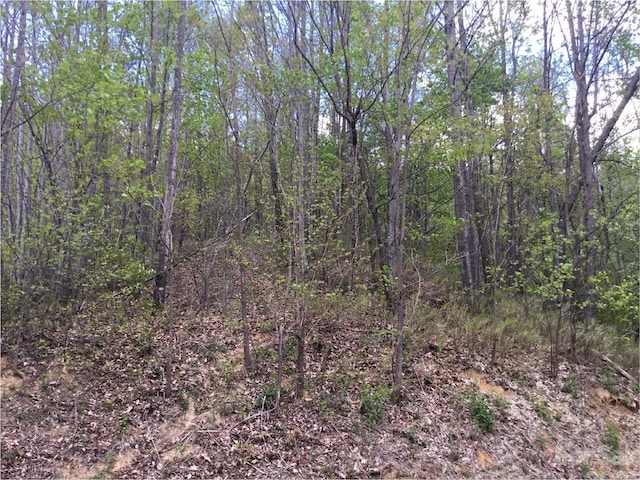1029 Kestrel Ln Unit T-72, Black Mountain, NC 28711