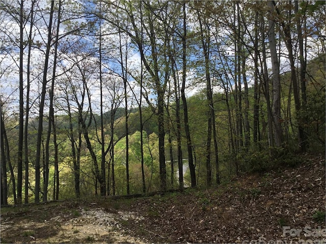 1029 Kestrel Ln Unit T-72, Black Mountain, NC 28711