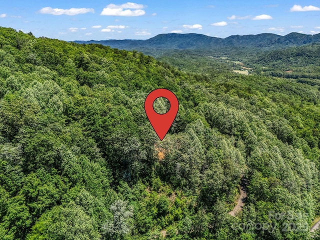 1029 Kestrel Ln Unit T-72, Black Mountain, NC 28711