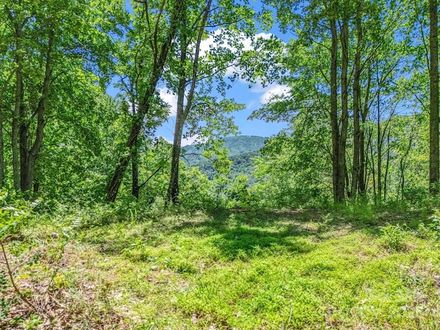 1029 Kestrel Ln Unit T-72, Black Mountain, NC 28711