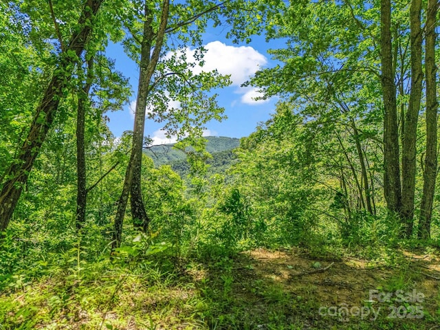 1029 Kestrel Ln Unit T-72, Black Mountain, NC 28711
