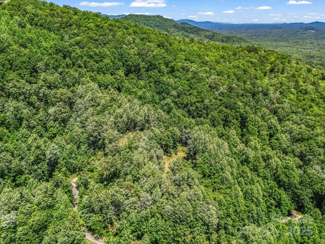 1029 Kestrel Ln Unit T-72, Black Mountain, NC 28711