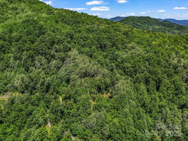 1029 Kestrel Ln Unit T-72, Black Mountain, NC 28711