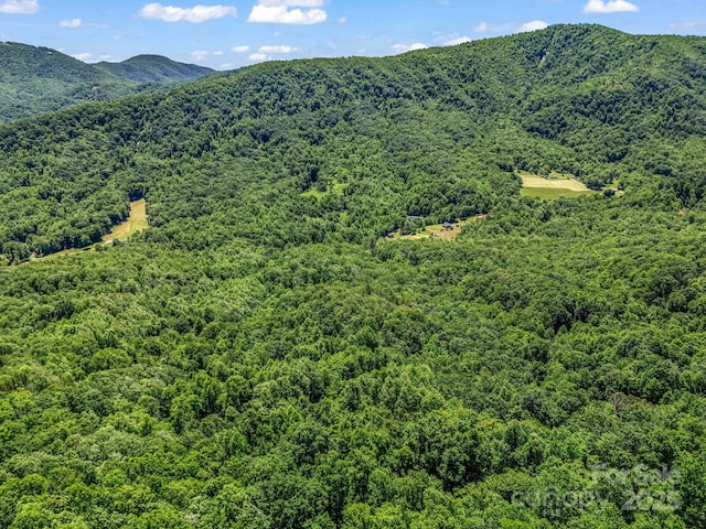 1029 Kestrel Ln Unit T-72, Black Mountain, NC 28711