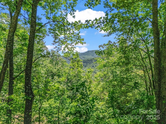1029 Kestrel Ln Unit T-72, Black Mountain, NC 28711