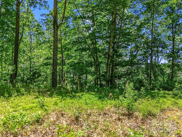 1029 Kestrel Ln Unit T-72, Black Mountain, NC 28711