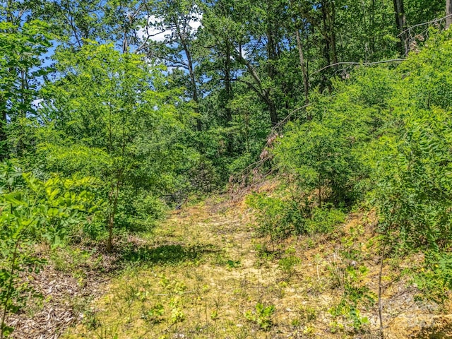 1029 Kestrel Ln Unit T-72, Black Mountain, NC 28711