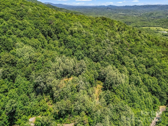 1029 Kestrel Ln Unit T-72, Black Mountain, NC 28711