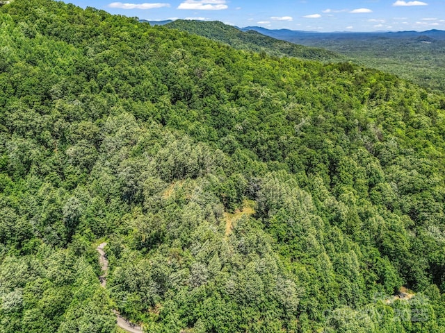 1029 Kestrel Ln Unit T-72, Black Mountain, NC 28711