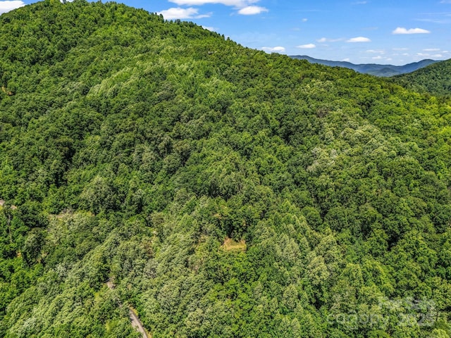 1029 Kestrel Ln Unit T-72, Black Mountain, NC 28711