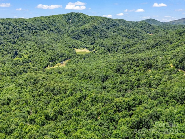 1029 Kestrel Ln Unit T-72, Black Mountain, NC 28711