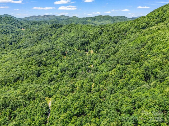 1029 Kestrel Ln Unit T-72, Black Mountain, NC 28711