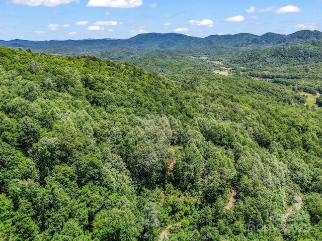 1029 Kestrel Ln Unit T-72, Black Mountain, NC 28711